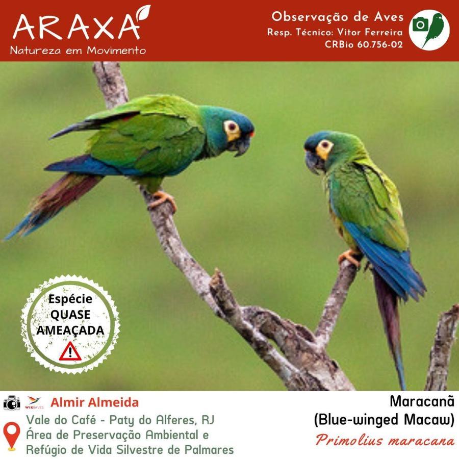 Sitio Araxa - 82 Anos De Historia - Suite Confortavel Em Meio A Floresta Paty do Alferes Εξωτερικό φωτογραφία
