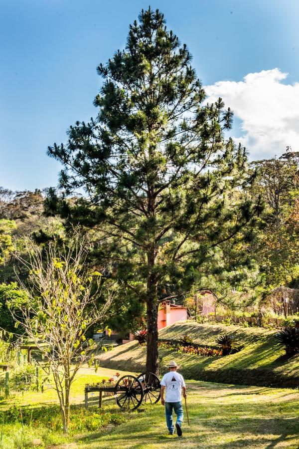 Sitio Araxa - 82 Anos De Historia - Suite Confortavel Em Meio A Floresta Paty do Alferes Εξωτερικό φωτογραφία