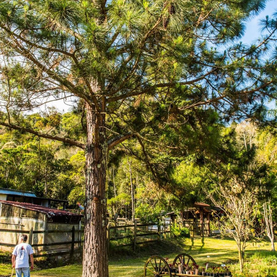 Sitio Araxa - 82 Anos De Historia - Suite Confortavel Em Meio A Floresta Paty do Alferes Εξωτερικό φωτογραφία