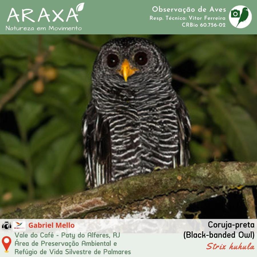 Sitio Araxa - 82 Anos De Historia - Suite Confortavel Em Meio A Floresta Paty do Alferes Εξωτερικό φωτογραφία