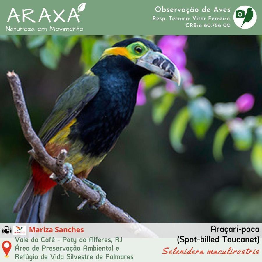 Sitio Araxa - 82 Anos De Historia - Suite Confortavel Em Meio A Floresta Paty do Alferes Εξωτερικό φωτογραφία